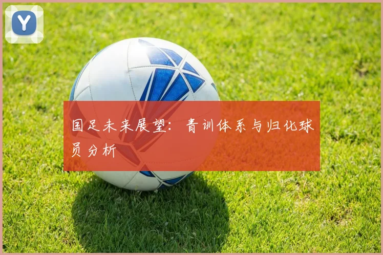 国足未来展望:青训体系与归化球员分析