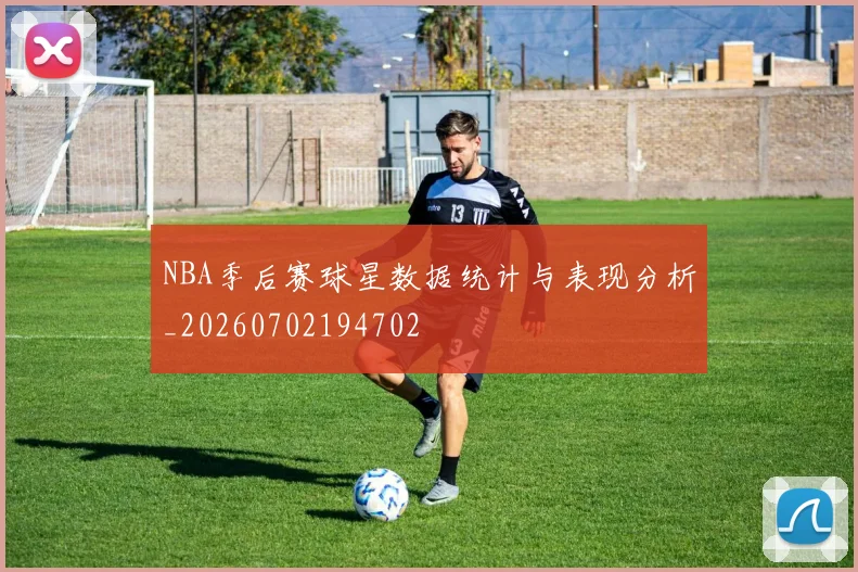 NBA季后赛球星数据统计与表现分析_20260702194702